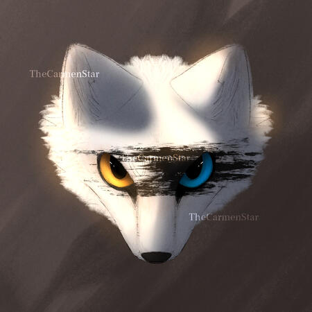 Gift Headshot for Slugnov Gift Headshot for Slugnov